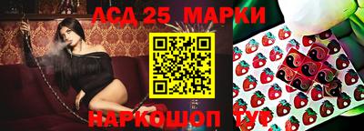 дмт Шебекино