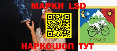 амф Шахты