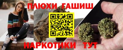 амф Шахты