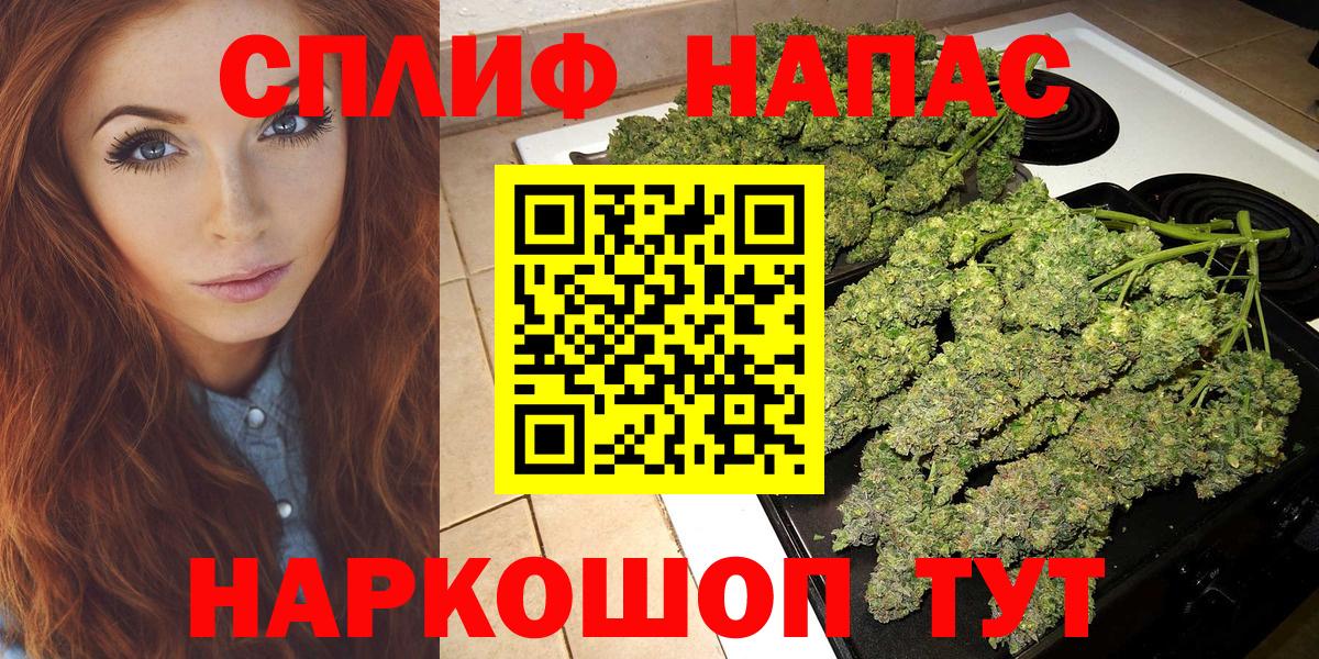 Скопин  Конопля план  Канабис тримм  МАРИХУАНА индика  Вход с VPN  Конопля Bruce Banner 